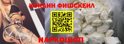 гашик Камышлов